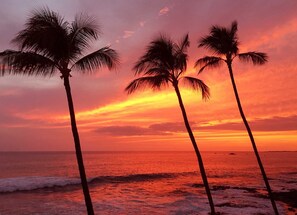 On the beach, sun loungers, beach towels