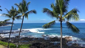 A coastal scene with palm trees and rocky shoreline.
