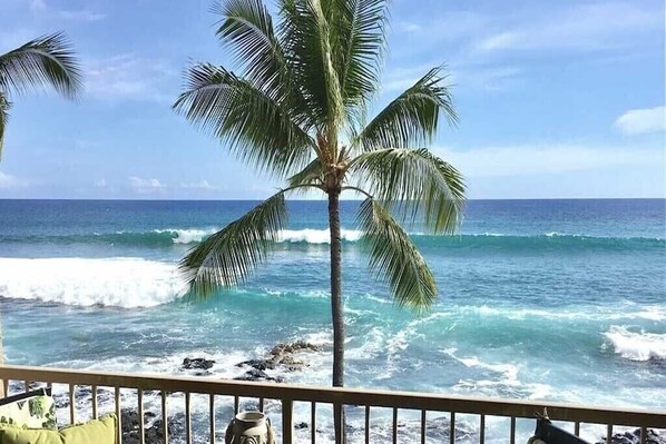 A view of the ocean with waves crashing onto a rocky shore, palm trees, and a clear sky.