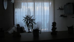 Une pièce faiblement éclairée, avec une grande fenêtre drapée de rideaux légers, une plante en pot et une petite table ornée d’objets décoratifs.