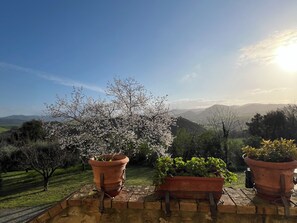 Vistas al campo desde el alojamiento