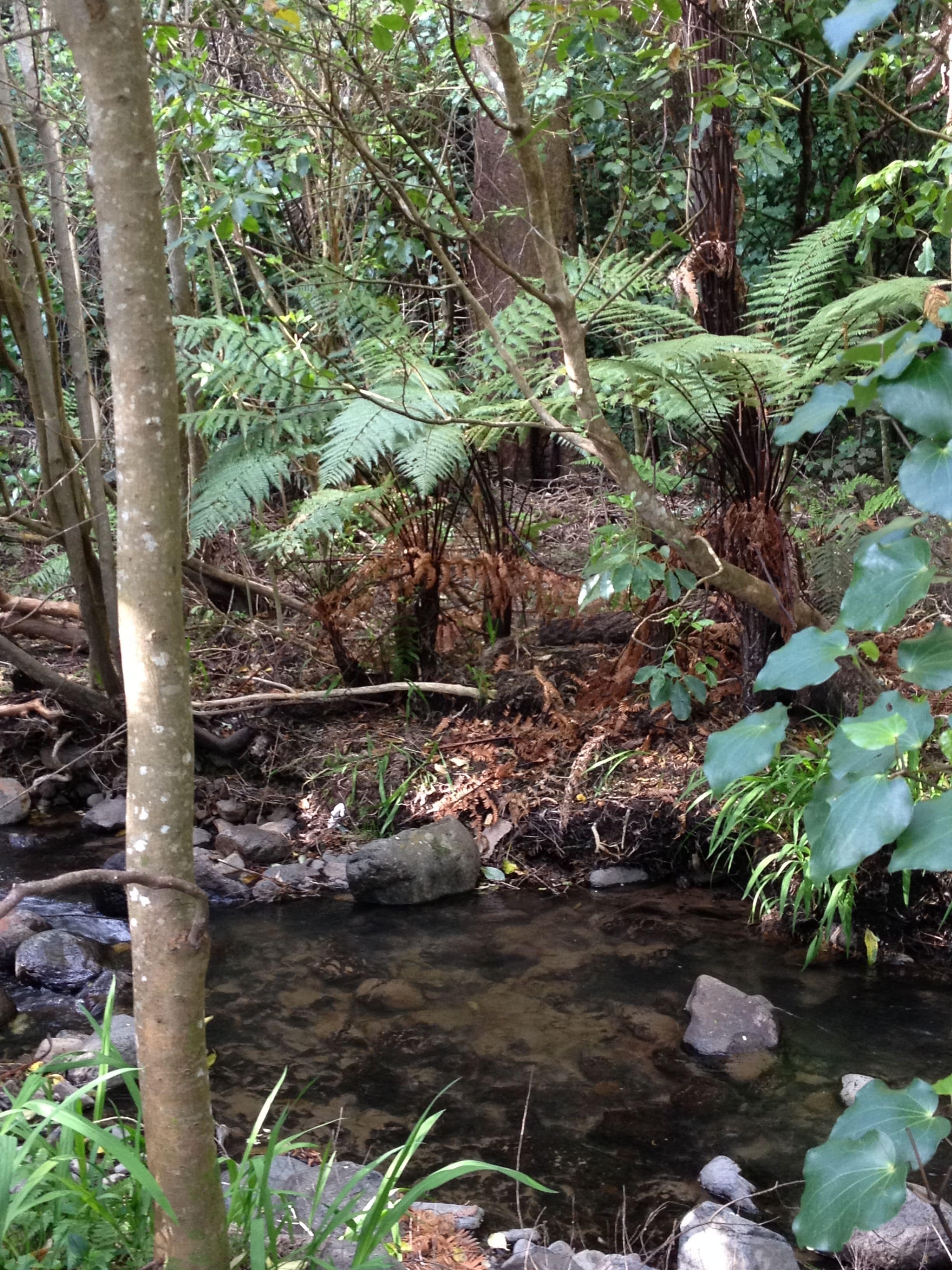 the willow room  | view from room