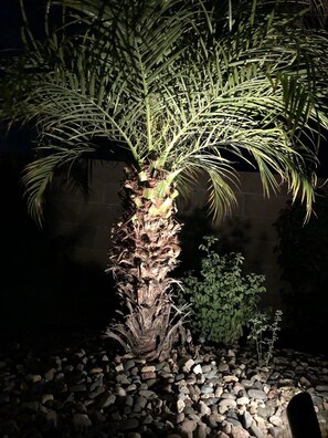 Property grounds - FABULOUS 3 Bedroom with a private backyard and heated pool!!! (Mesa)