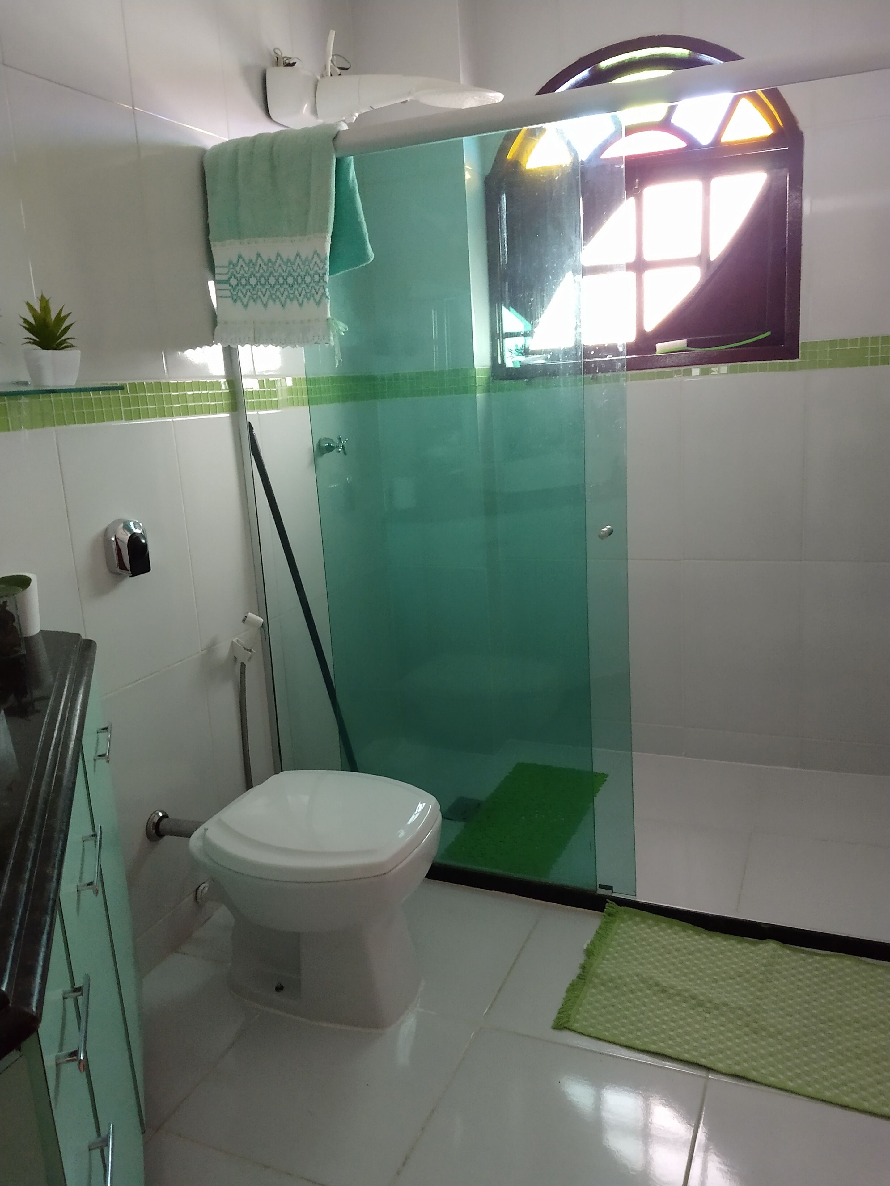 Une salle de bain avec des toilettes, une douche en verre et un tapis vert sur le sol.