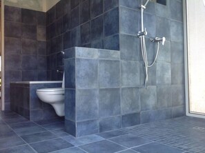 Combined shower/tub, hair dryer, towels
