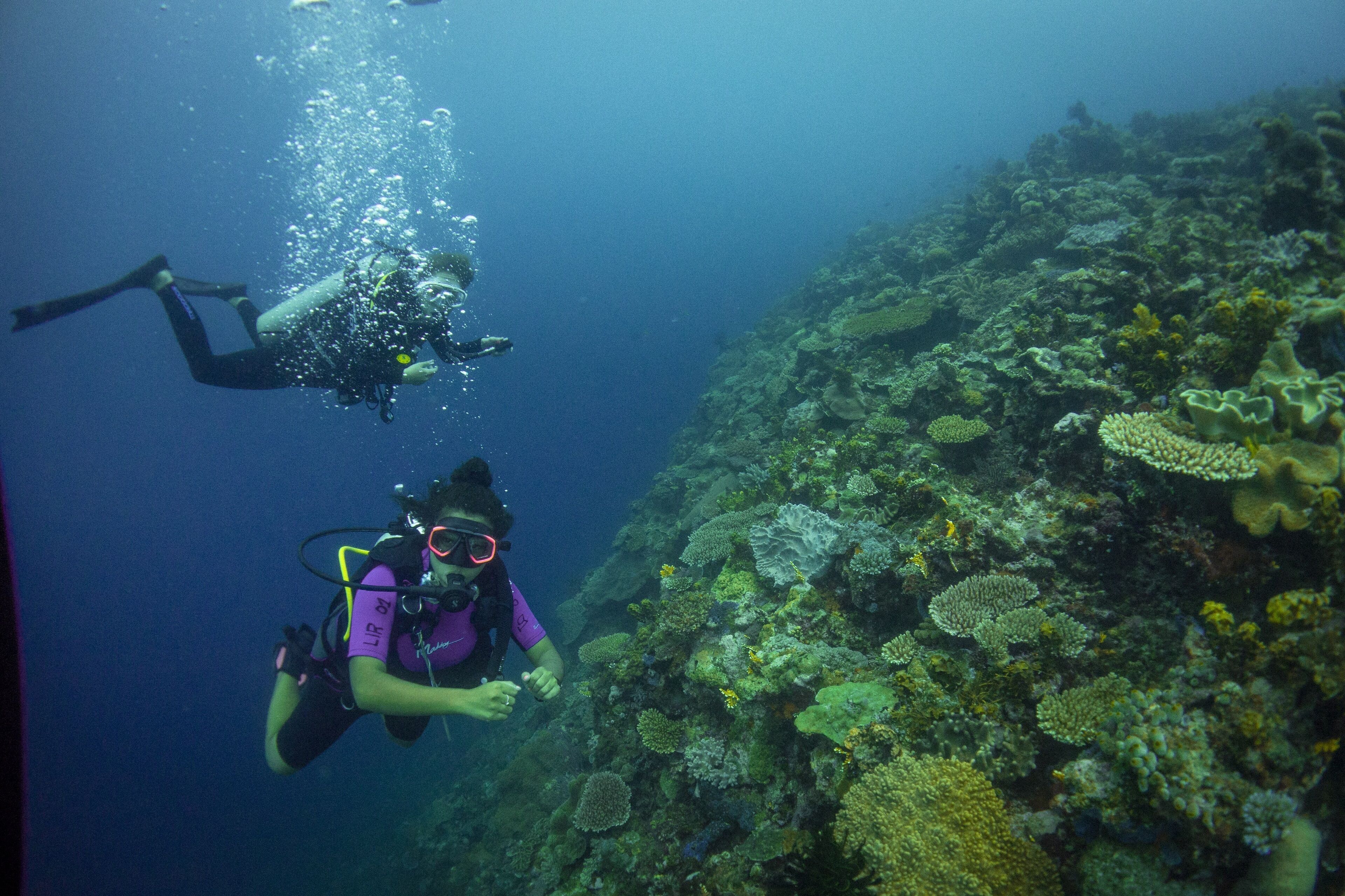 Two divers exploring a coral reef.