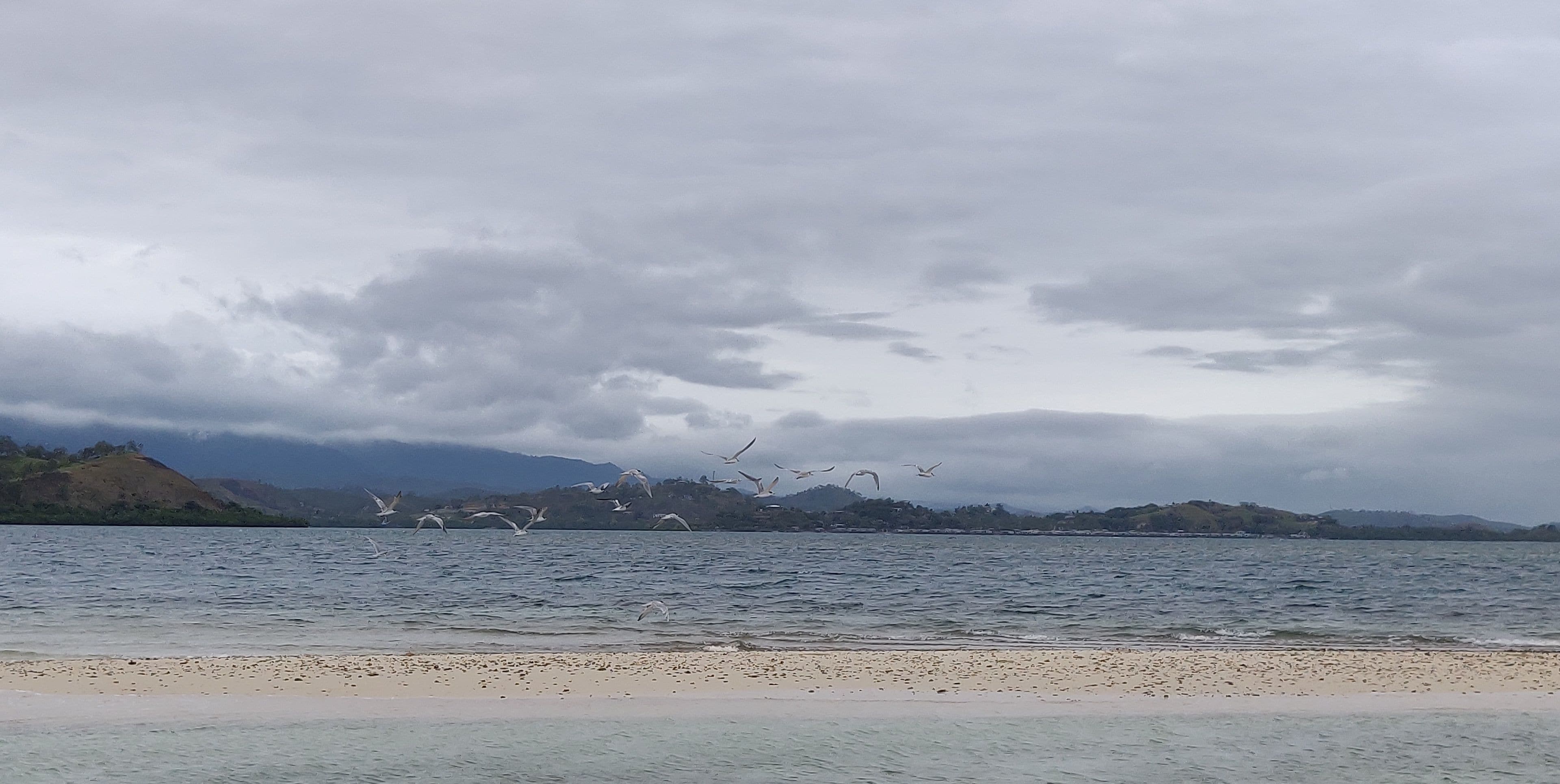 En strand med utsikt över berg i bakgrunden och måsar som flyger över vattnet.