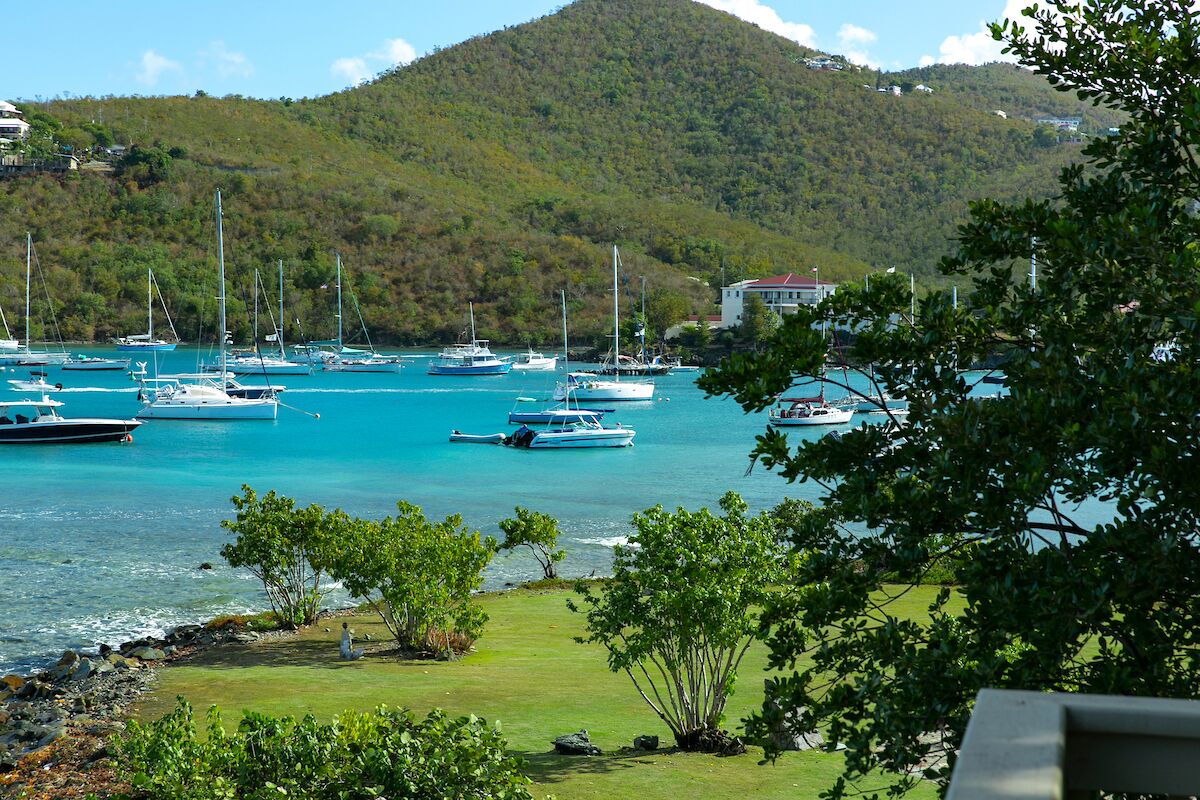 A marina with boats docked, surrounded by greenery and a hill in the background.