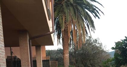 Apartamento Casa del Togo