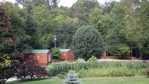 A small wooden cabin with a green roof, surrounded by lush greenery and a well-maintained lawn. - CREEKSIDE CABINS  - CHIPMUNK (Bryson City)