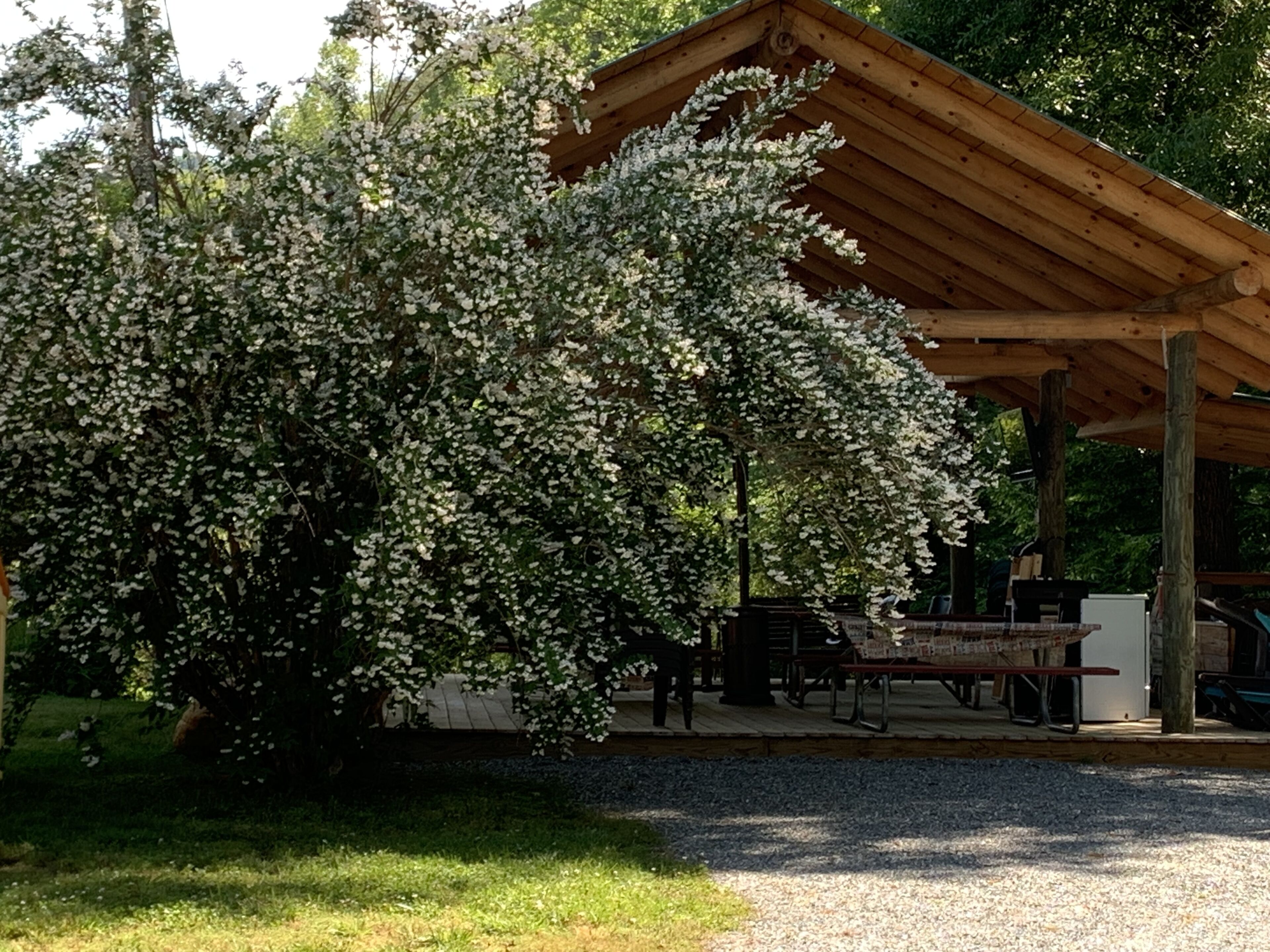 Udendørs spisemuligheder