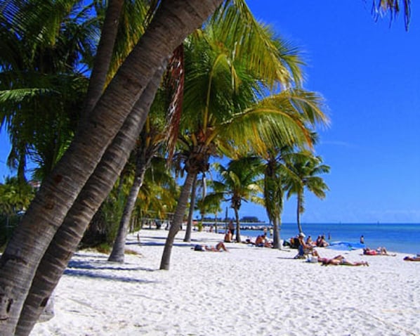 En la playa y toallas de playa