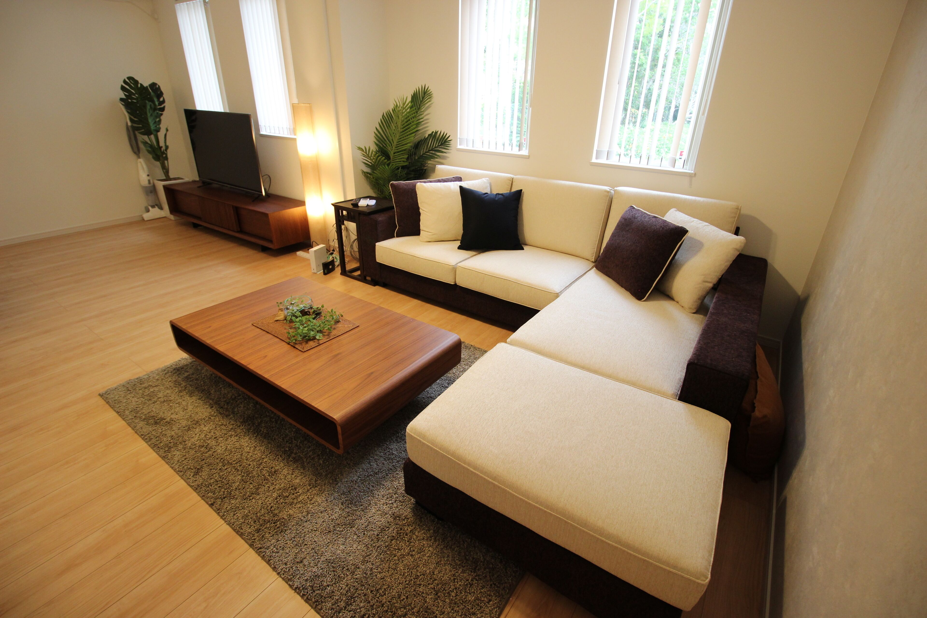 Un salon moderne avec un canapé d’angle, une table basse, un téléviseur et une plante en pot.