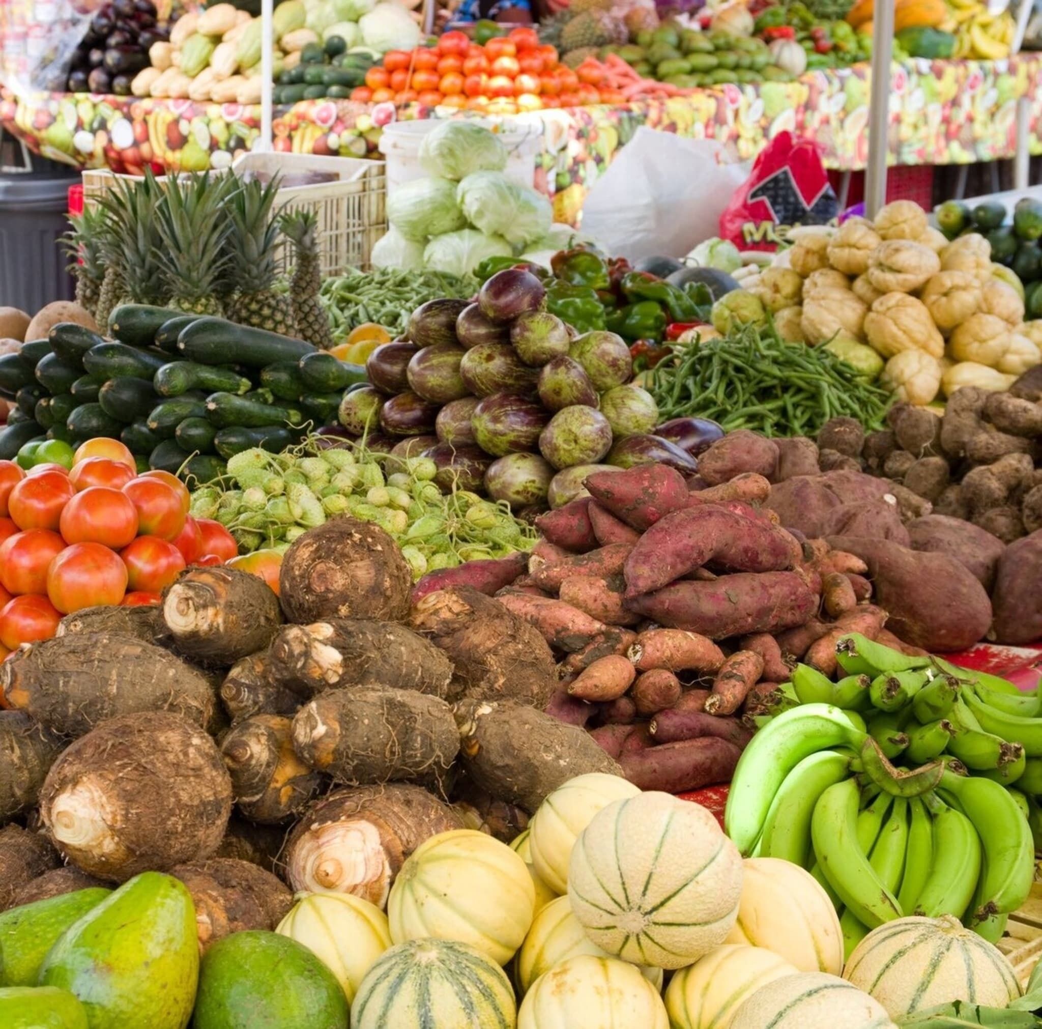 Variedad de productos frescos, incluyendo tomates, batatas y plátanos, en un mercado.
