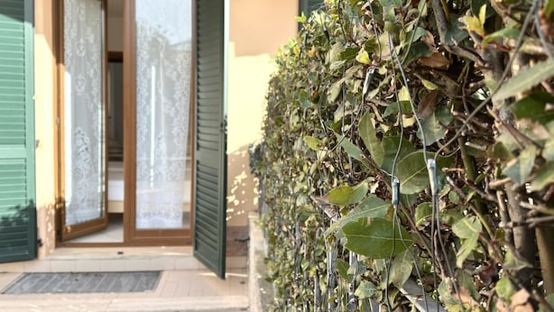 A building entrance with a door, a window with a curtain, and a wall covered with climbing plants. - S100 - Sirolo, new three-room apartment with terrace (Sirolo)
