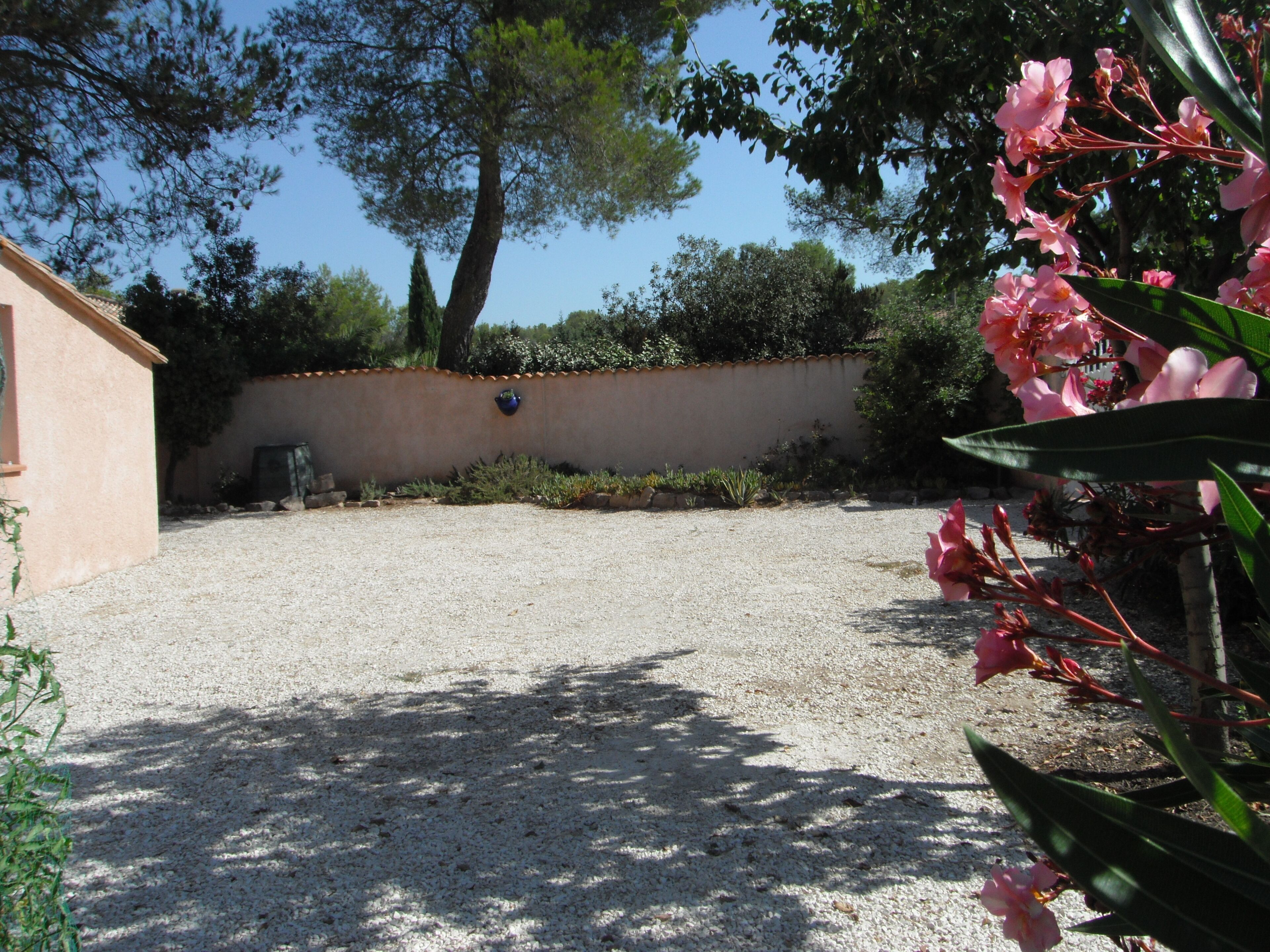 Jardin 