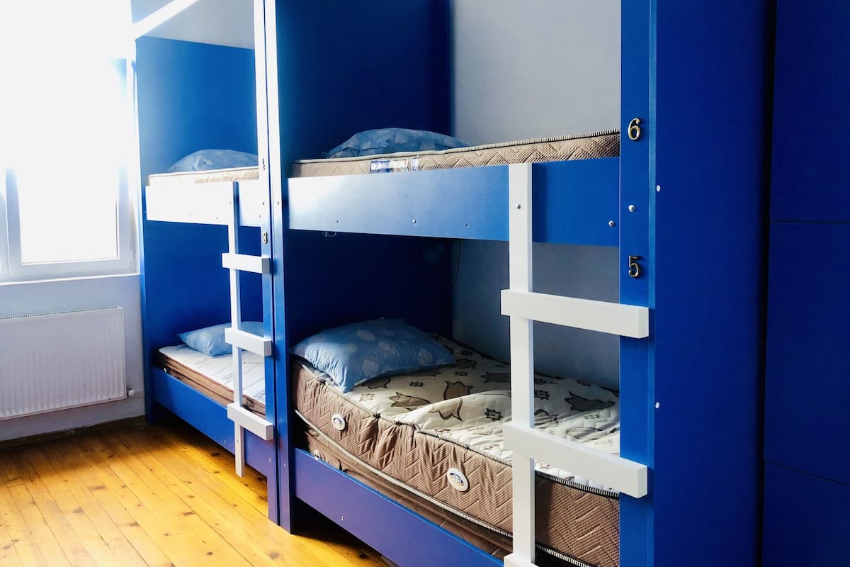 Dormitorio compartido básico, varias camas | Wifi gratis