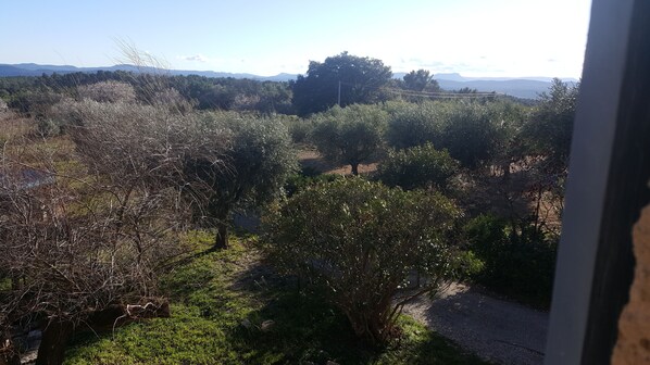 A view of a landscape with trees and a clear sky.