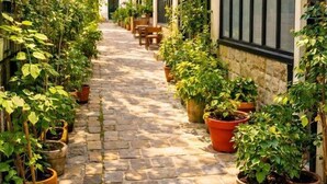 A narrow stone-paved corridor with potted plants on either side, leading to a building entrance. - Atelier d'artiste / artist loft / 35m2 (Paris)