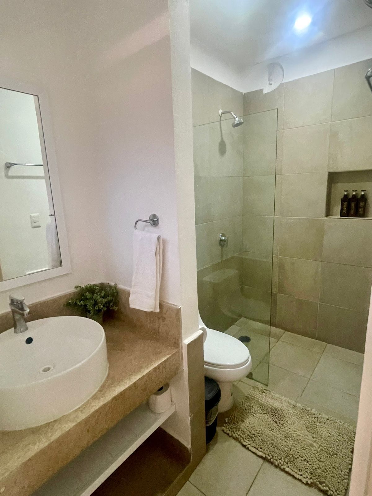 Hair dryer, towels, shampoo, toilet paper