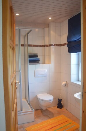 Douche, séchoir à cheveux, serviettes fournies, papier de toilette