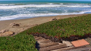 Una playa con olas, orilla arenosa y plantas verdes con flores rosas.