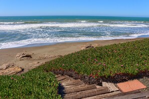 Una playa con olas, orilla arenosa y plantas verdes con flores rosas.