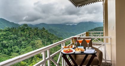 Cygnett Resort Mountain Breeze