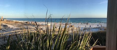 Sun-loungers, beach towels