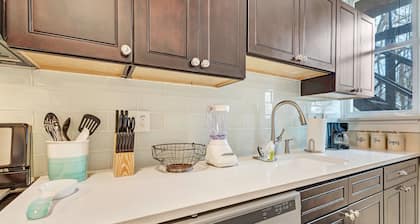 Luxury Condo down the street from Tower Grove Park