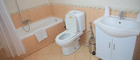 Une salle de bain avec des toilettes, un lavabo et une douche.