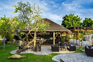 Bar (en la propiedad)