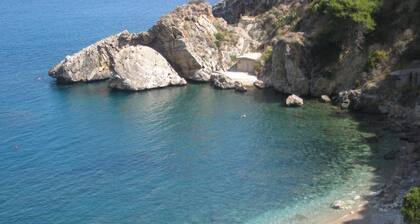 House / Villa - Castellammare del golfo