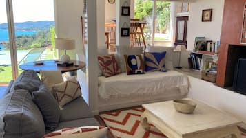 Smart TV, chimenea, reproductor de DVD y libros