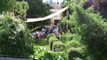 An outdoor seating area with tables and chairs, surrounded by lush greenery and a car in the foreground.