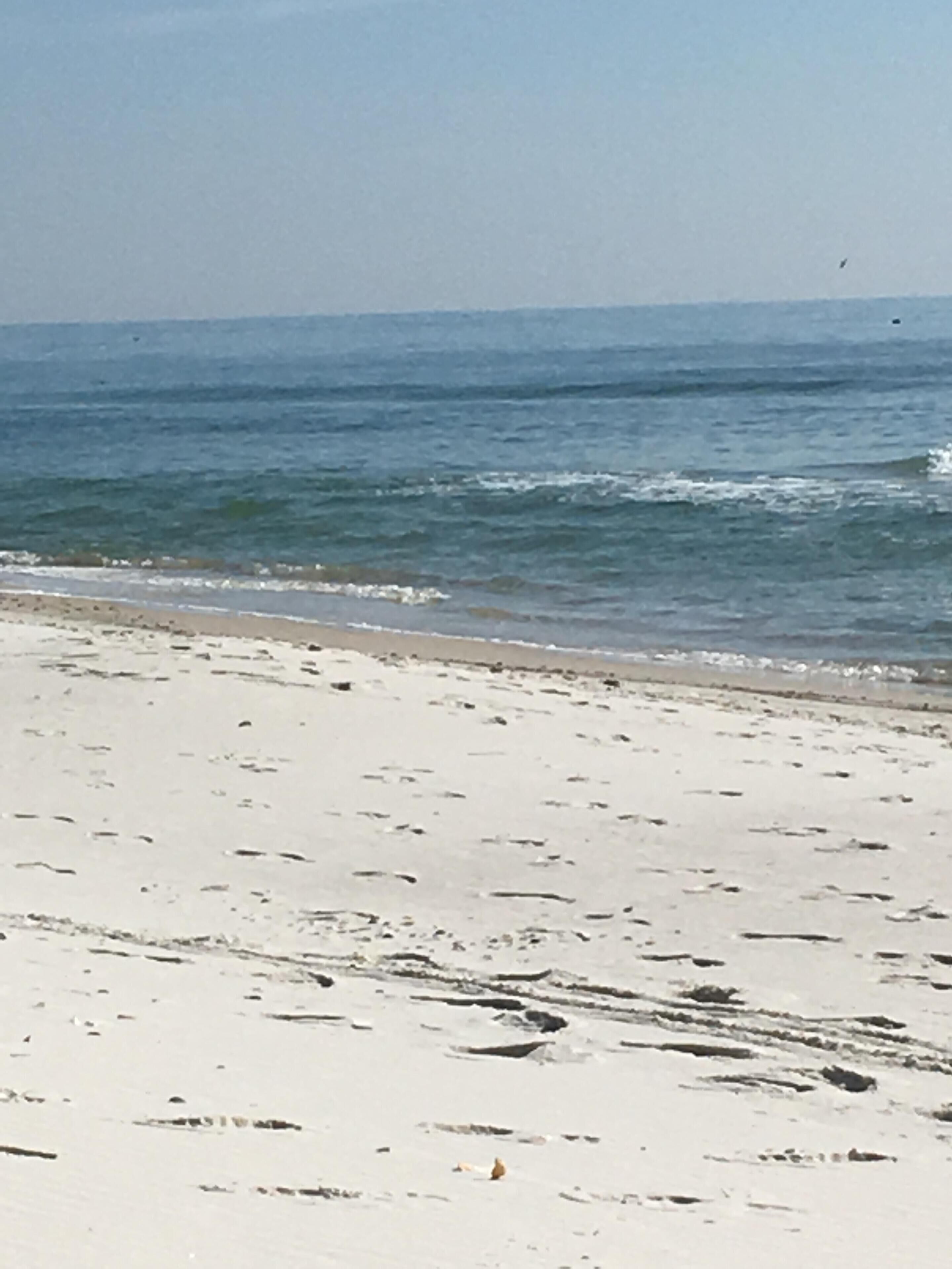 On the beach, sun-loungers