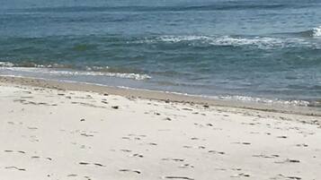 On the beach, sun-loungers