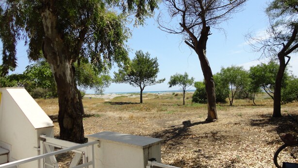 A view from a balcony overlooking a dry, grassy area with trees and a distant beach. - VersoSud - Apartment Vicino Spiaggia 04 (Ugento)