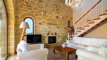 LED TV, fireplace, DVD player, books