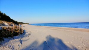 Una playa arenosa con huellas que se dirigen hacia el agua, cielo despejado y zona boscosa a la izquierda.