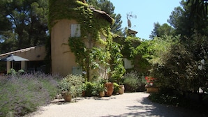 A garden path leading to a building with a sloped roof, surrounded by various potted plants and a satellite dish. - Lou Ventoulet (Mouries)