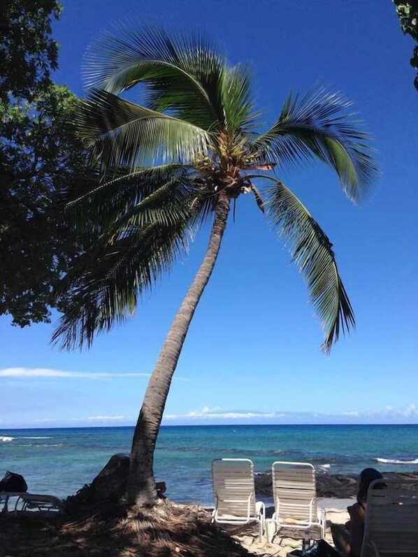 Plage à proximité