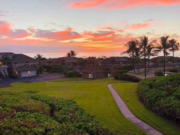 A residential area with houses, a well-maintained lawn, and a pathway. - Oceanview Townhome w/ Pool Near Beaches & Shops (Kailua-Kona)
