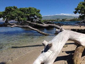 A beach with clear water, a fallen tree, and a distant mountain range.