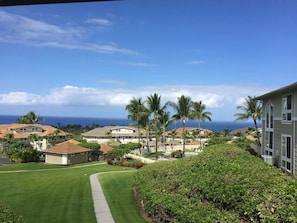 A residential area with houses, a pathway, and a view of the ocean.