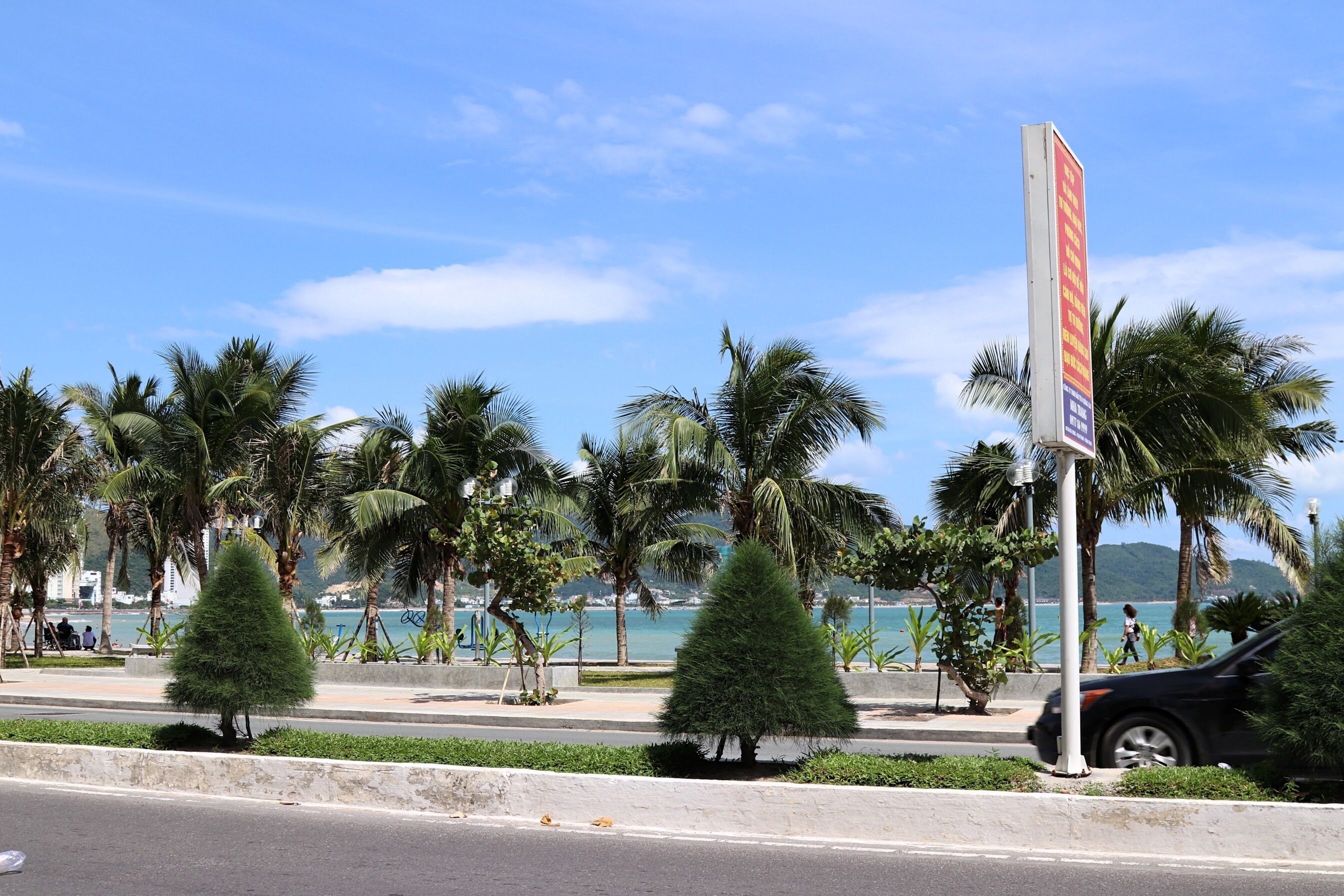 A coastal road with palm trees and a signboard.