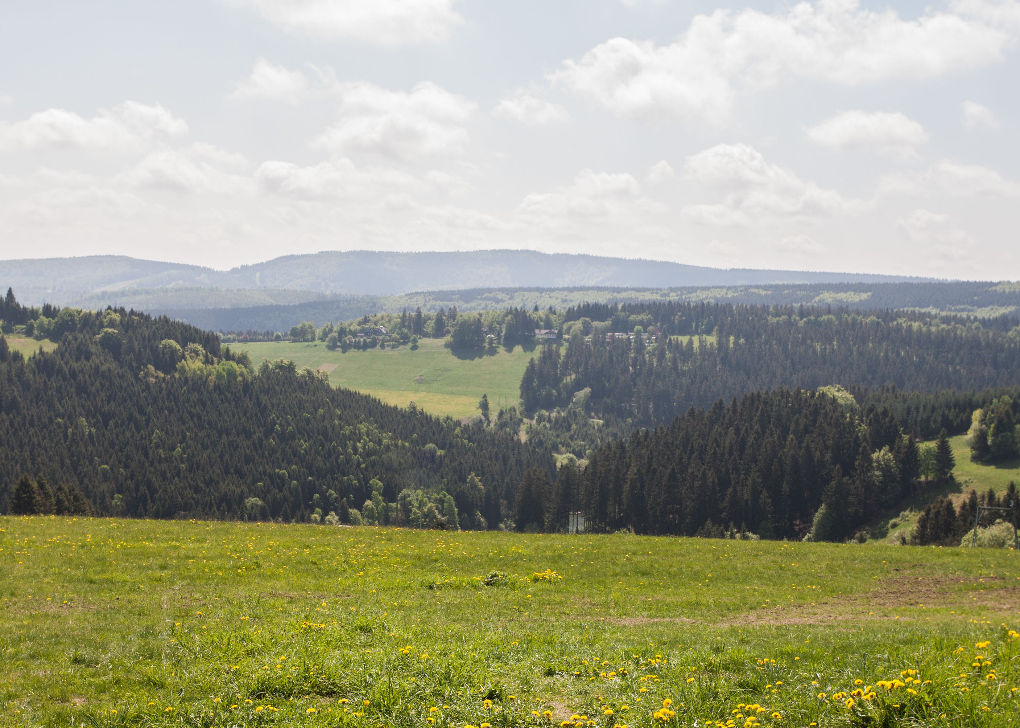 Vista panorámica de un paisaje montañoso con bosques frondosos y campos abiertos.