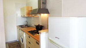 Een kleine keuken met een kookplaat, spoelbak en een wasmachine.