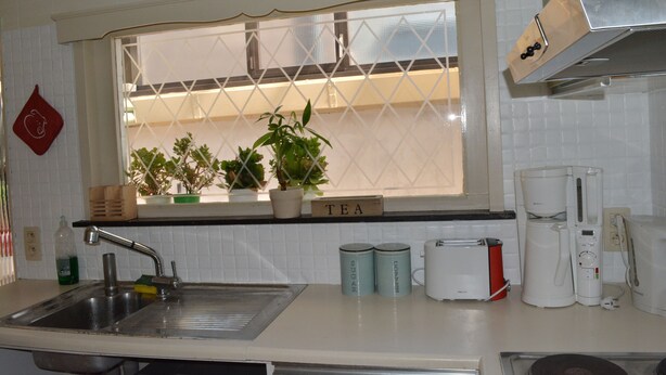 A kitchen with a sink, two coffee makers, and a window with plants. - Home Trietje Ghent (Ghent)