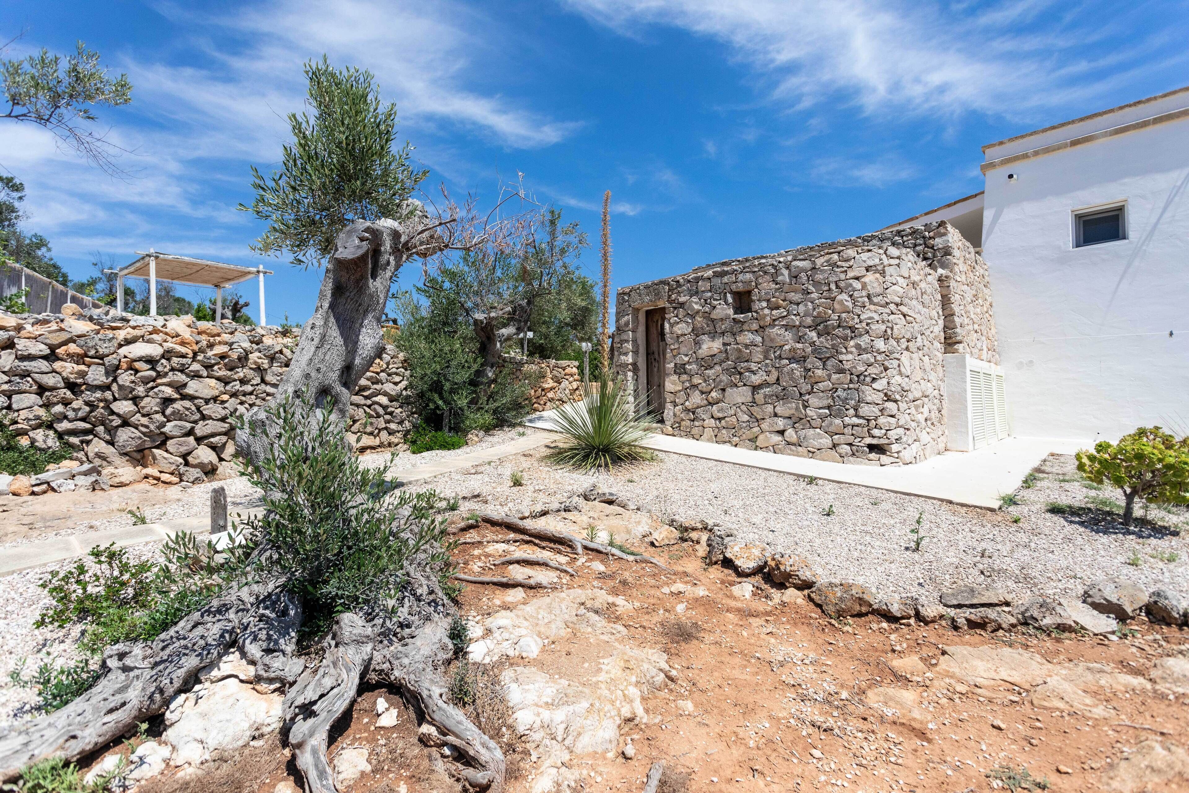 A rustic stone building with a door, surrounded by a gravel path, a small tree, and a wooden structure in the background.
